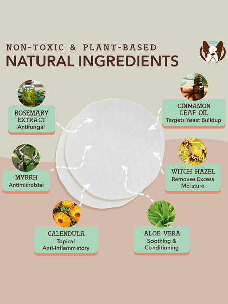 Natural-dog-company-soin-naturel-pour-chien-lingettes-nettoyantes-oreilles