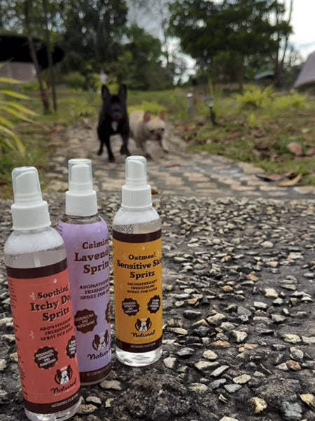 Natural-dog-company-soin-naturel-pour-chien-spray-lotion