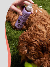 Natural-dog-company-soin-naturel-pour-chien-spray-lotion-calmant-lavende