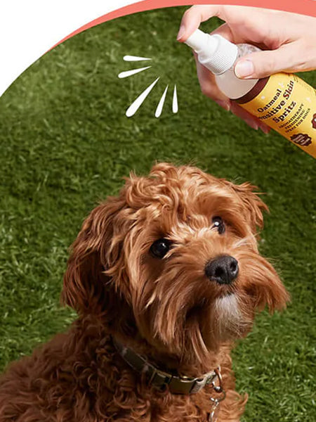 Natural-dog-company-soin-naturel-pour-chien-spray-lotion-sensible-avoine