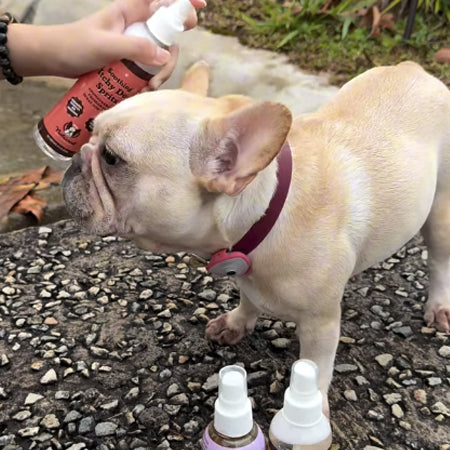Natural-dog-company-soin-naturel-pour-chien-spray-lotion