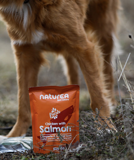 Naturea-patee-naturelle-pour-chien-saumon