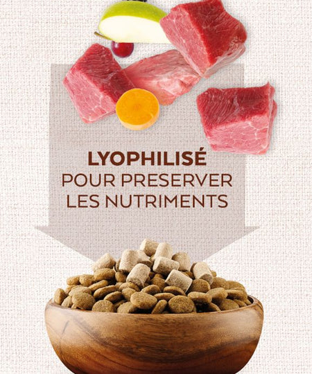        Natures-variety-friandises-lyophilisee-pour-chien-chiot-topper-boeuf