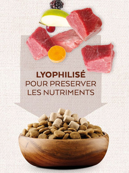        Natures-variety-friandises-lyophilisee-pour-chien-chiot-topper-boeuf