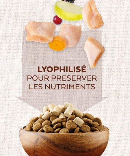        Natures-variety-friandises-lyophilisee-pour-chien-chiot-topper-poulet