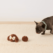The-Foggy-Dog-balle-fouille-balle-pour-chien-chouette