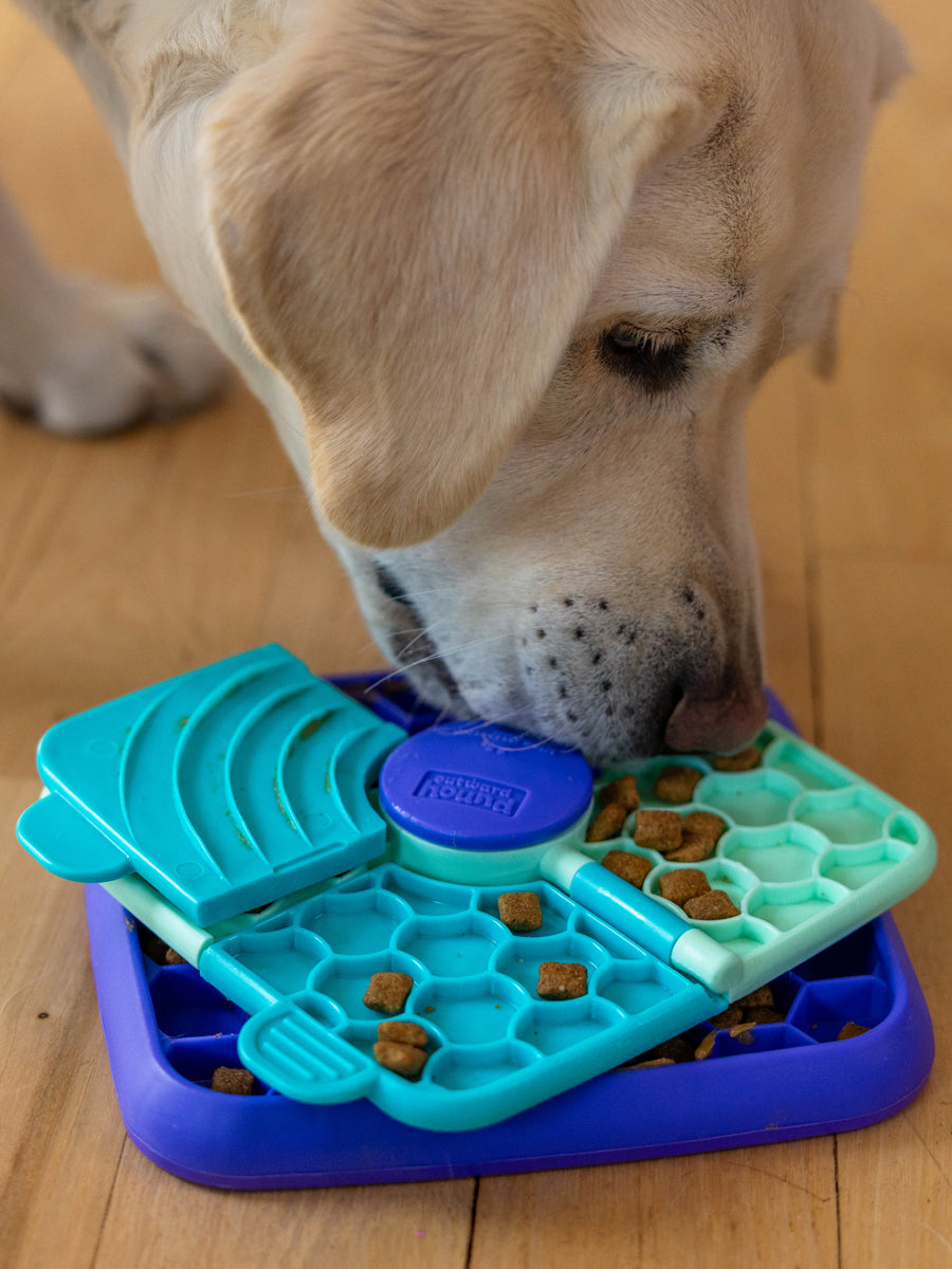 Outward-Hound-jouet-enrichissement-occupation-pour-chien-lick-n-flip