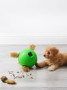     Outward-hound-jouet-balle-interactif-puzzle-pour-chien-Dog-Snuffle-N_-Treat