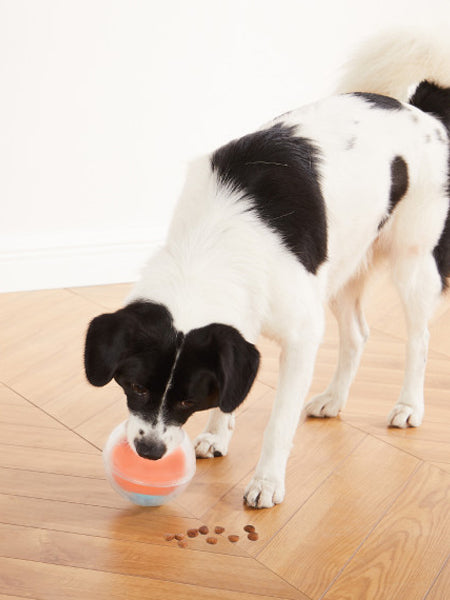       Outward-hound-jouet-balle-interactif-puzzle-pour-chien-dog-Rumble-Ball