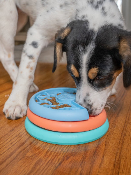 Outward-hound-jouet-interactif-puzzle-pour-chiot-puppy-lickin-layers