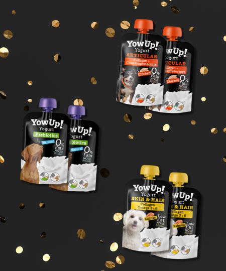 Pack promotionnel Black Friday - Yow Up pour chien