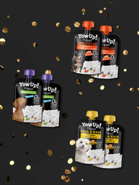 Pack promotionnel Black Friday - Yow Up pour chien