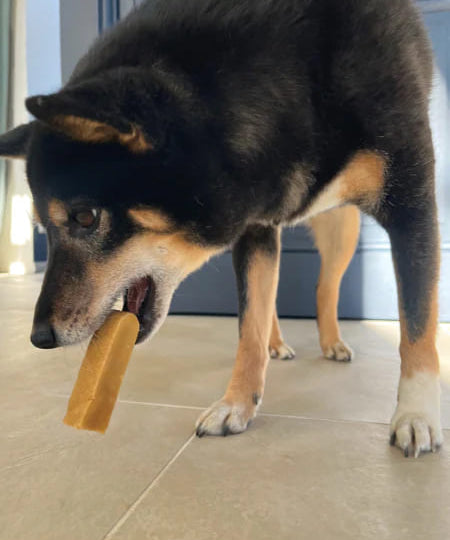 Friandises mastication pour chien barre au fromage de yak