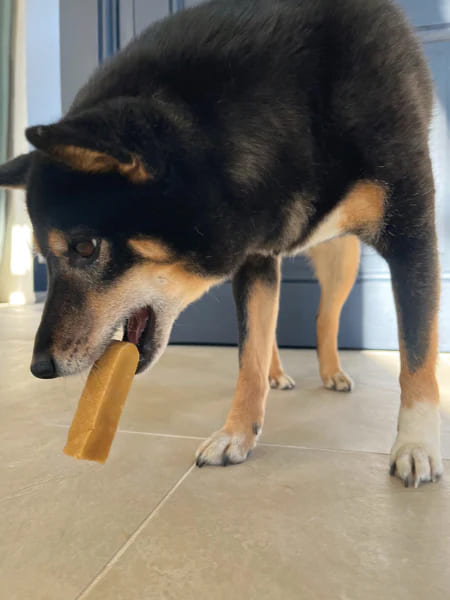 Friandises mastication pour chien barre au fromage de yak