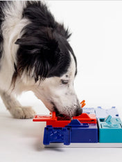 Pawzler-jeu-de-fouille-puzzle-pour-chien-genius