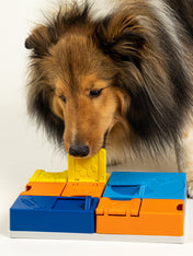 Pack promotionnel Black Friday - 2 Jeux Pawzler