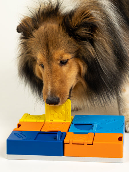 Pack promotionnel Black Friday - 2 Jeux Pawzler