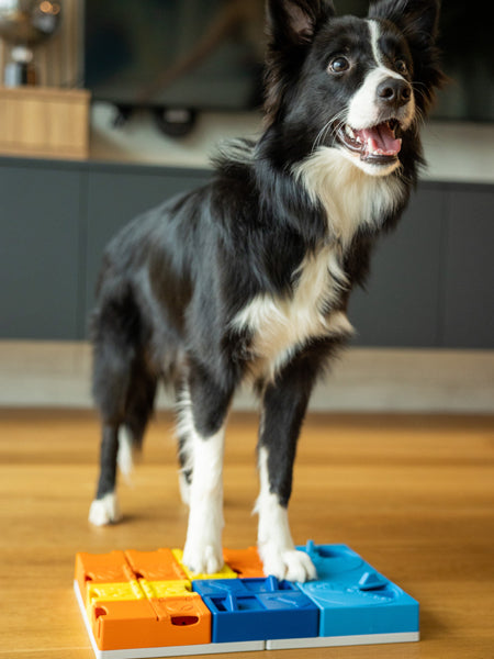 Pawzler-jeu-de-fouille-puzzle-pour-chien-kit-rainbow