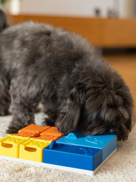 Pawzler-jeu-de-fouille-puzzle-pour-chien-kit-rainbow