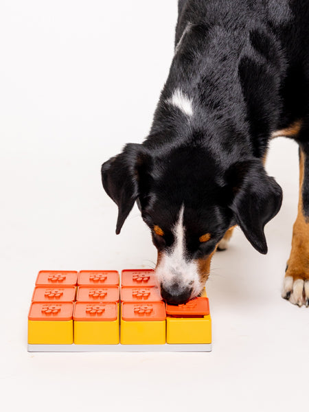 Pawzler-jeu-de-fouille-puzzle-pour-chien-treat-maze