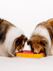 Pawzler-jeu-de-fouille-puzzle-pour-chien-treat-maze