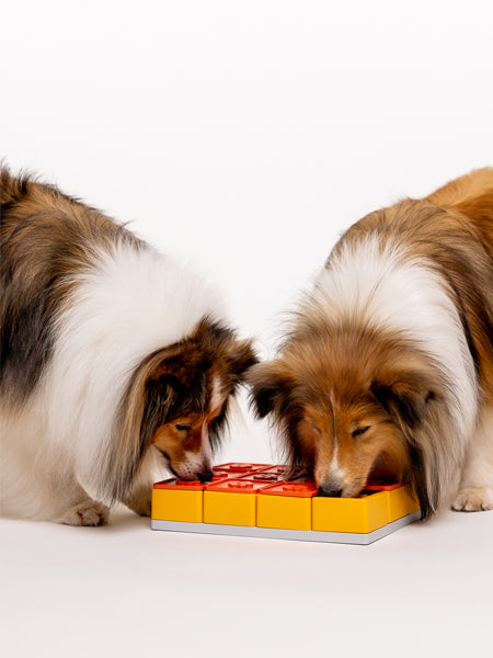 Pawzler-jeu-de-fouille-puzzle-pour-chien-treat-maze