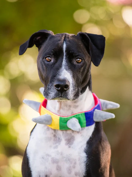 Pet-play-collier-pour-chien-spike
