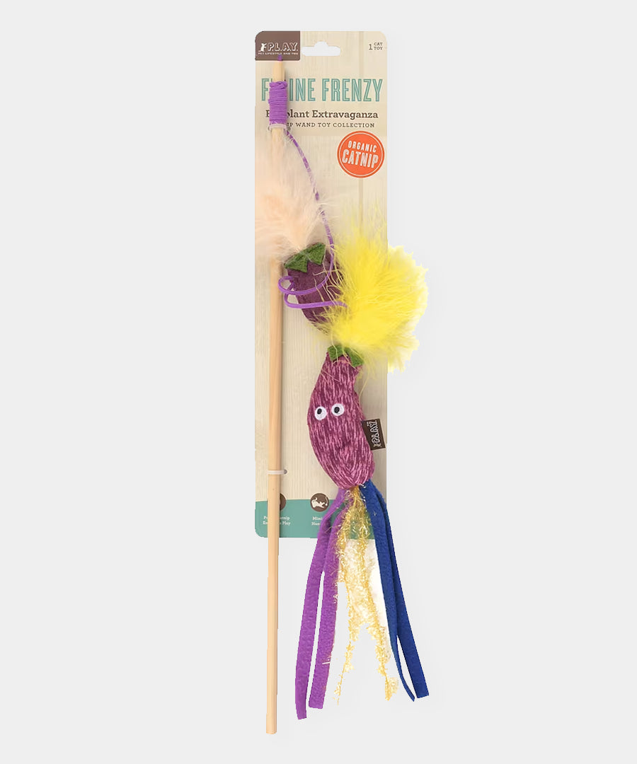 Pet-play-jouet-chat-canne-a-peche-aubergine