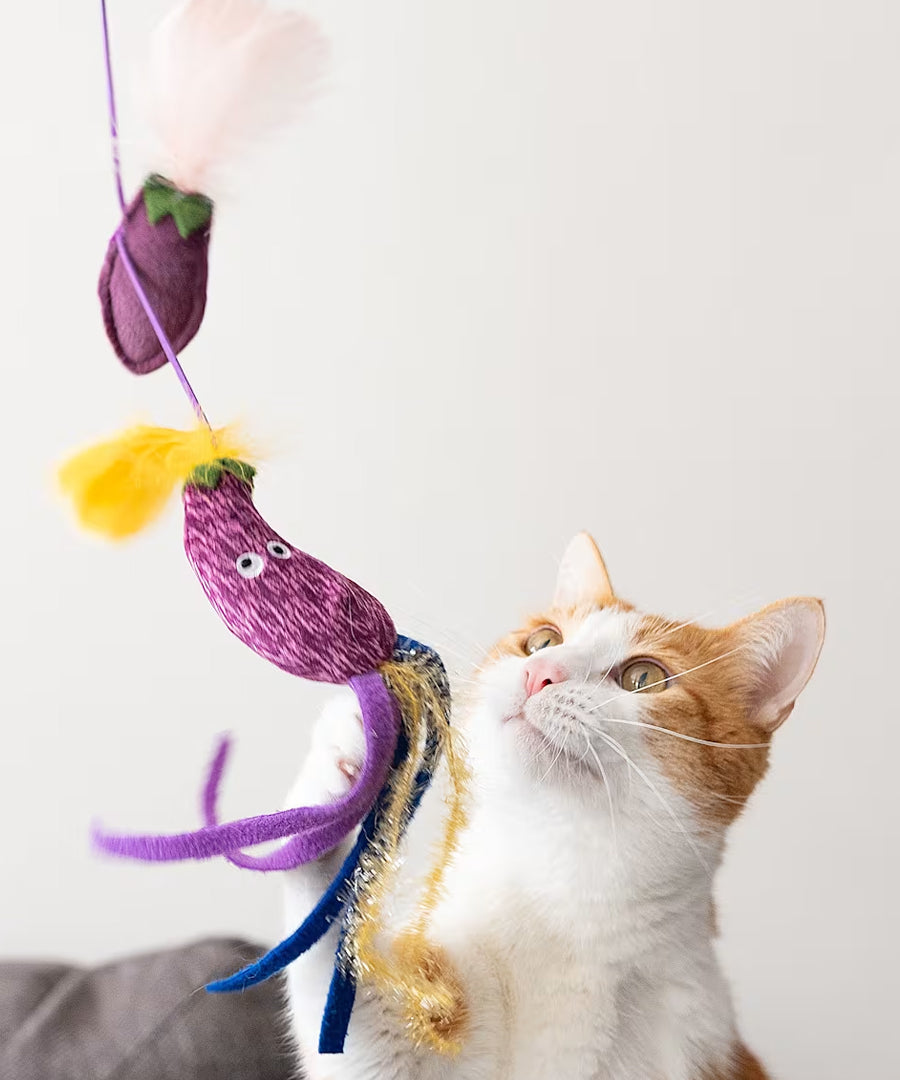 Pet-play-jouet-chat-canne-a-peche-aubergine