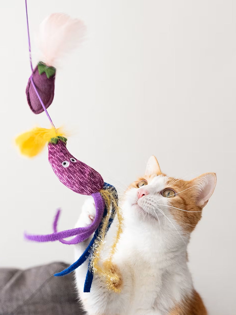 Pet-play-jouet-chat-canne-a-peche-aubergine