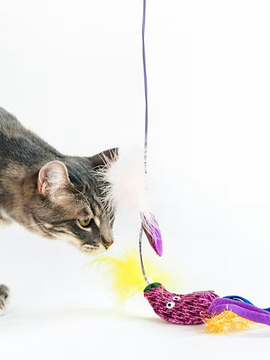 Pet-play-jouet-chat-canne-a-peche-aubergine