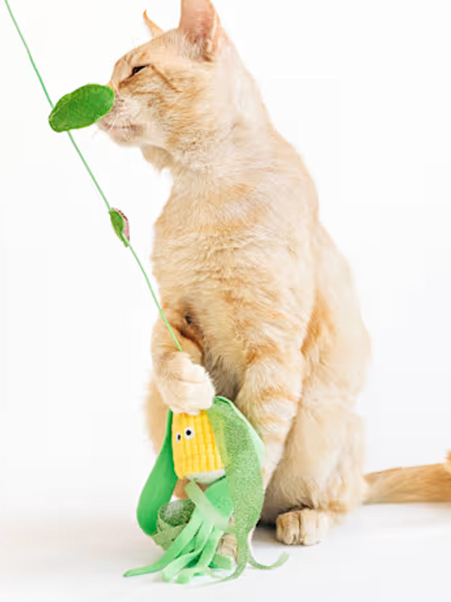Pet-play-jouet-chat-canne-a-peche-mais
