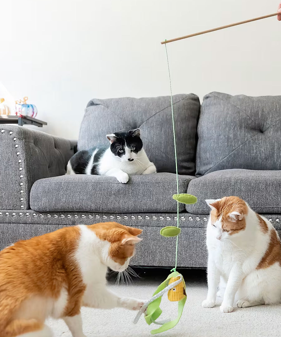 Pet-play-jouet-chat-canne-a-peche-mais