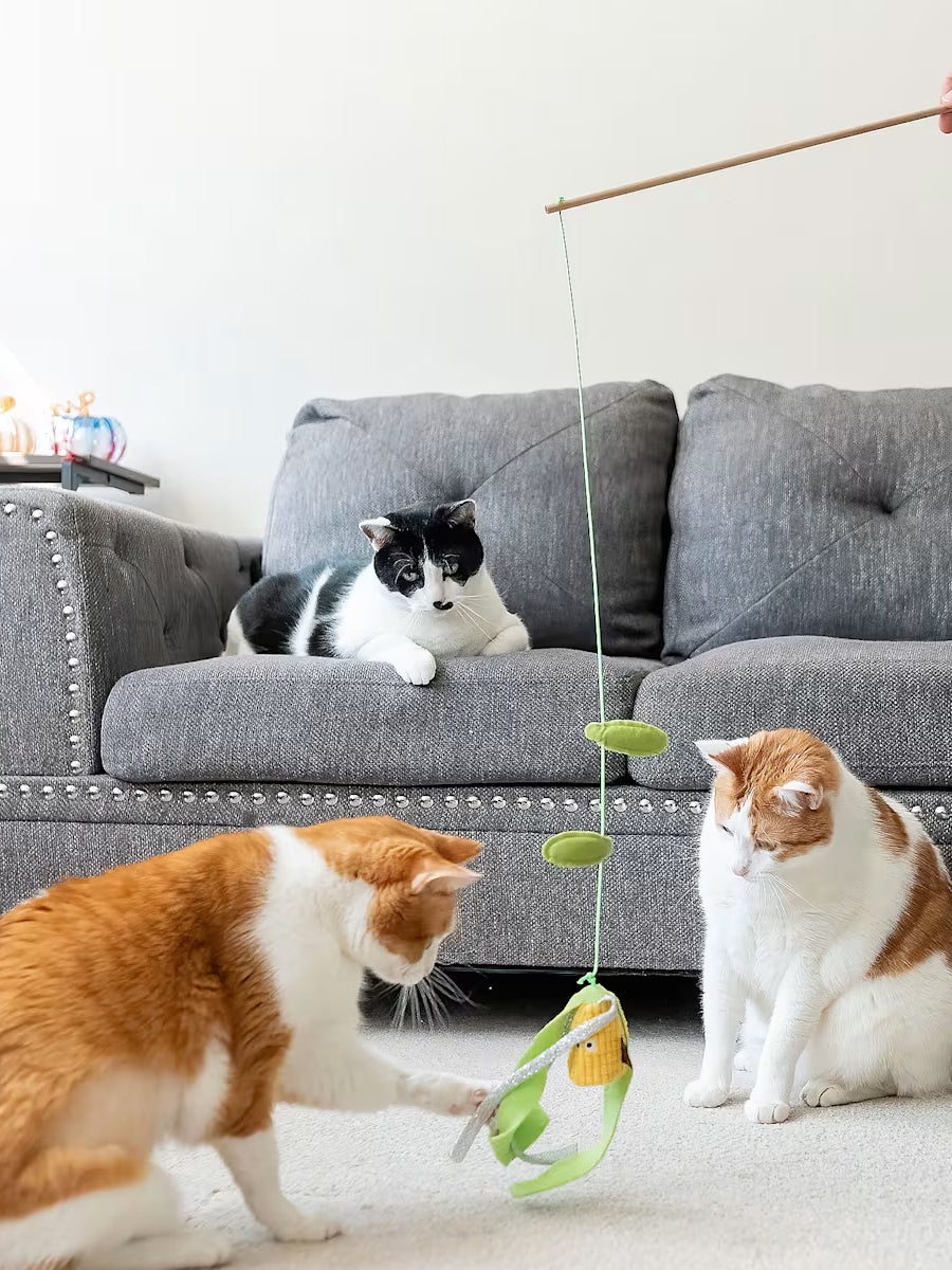 Pet-play-jouet-chat-canne-a-peche-mais