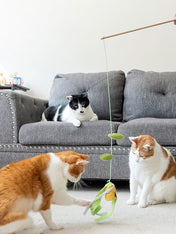 Pet-play-jouet-chat-canne-a-peche-mais