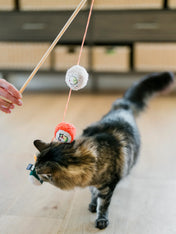 Pet-play-jouet-chat-canne-a-peche-sushi-rolls