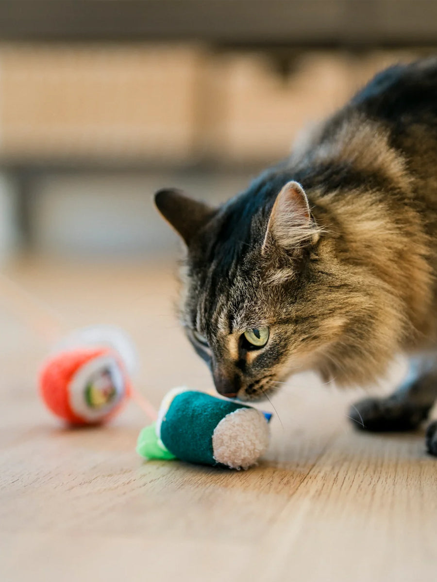 Pet-play-jouet-chat-canne-a-peche-sushi-rolls