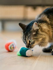 Pet-play-jouet-chat-canne-a-peche-sushi-rolls