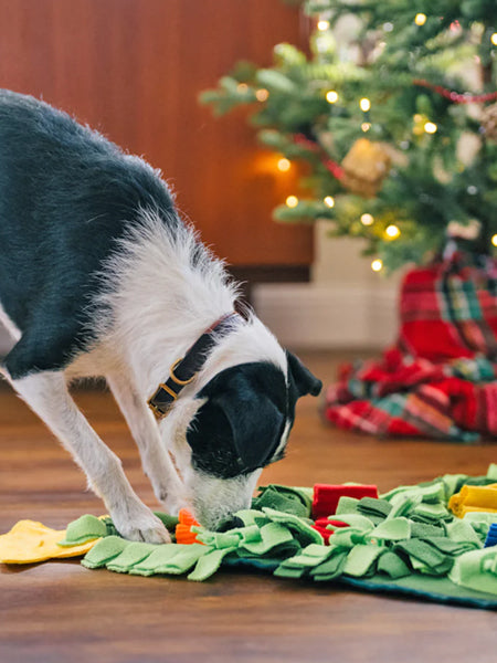 🎅 🐶 🎾 Cadeaux de Noël pour les chiens joueurs – THE WOUF
