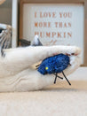     Pet-play-jouet-peluche-chat-Feline-Frenzy-Halloween-Cat-Toy-Collection-Creepy-Critters    Pet-play-jouet-peluche-chat-Feline-Frenzy-Halloween-Cat-Toy-Collection-Creepy-Critters