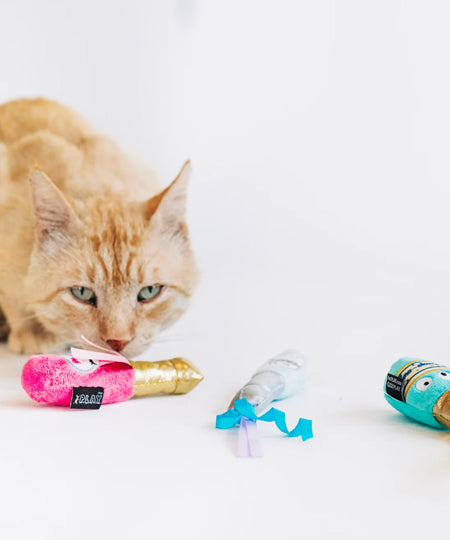 Pet-play-jouet-peluche-chat-Feline-Frenzy-Pop-Fizz-Meow