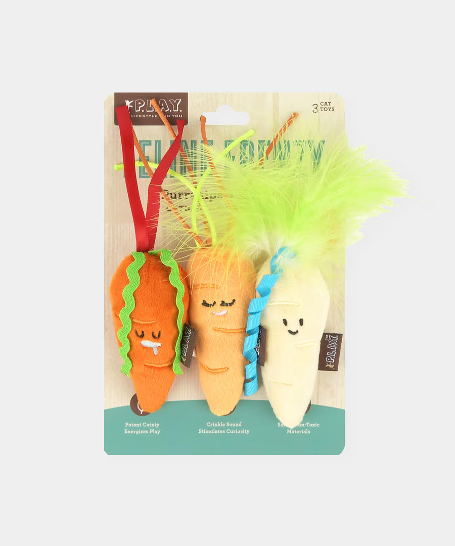 Pet-play-jouet-peluche-chat-feline-fenzy-carotte