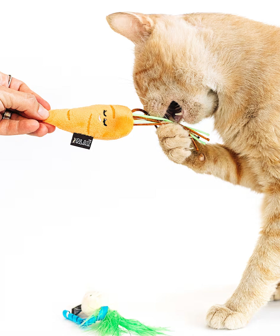 Pet-play-jouet-peluche-chat-feline-fenzy-carotte
