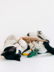 Pet-play-jouet-peluche-chat-feline-fenzy-plateau-charcuterie