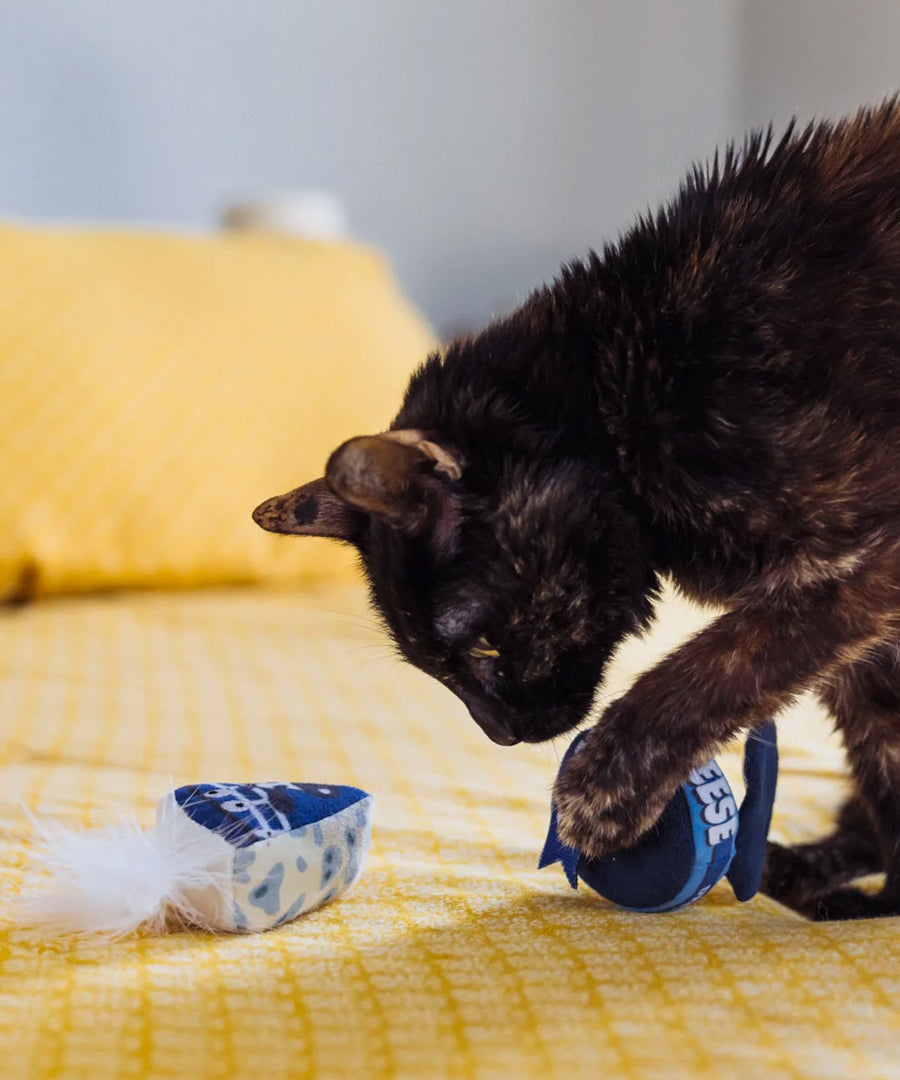 Pet-play-jouet-peluche-chat-feline-fenzy-plateau-fromage