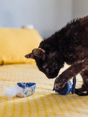 Pet-play-jouet-peluche-chat-feline-fenzy-plateau-fromage