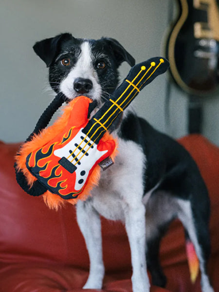 Pet-play-jouet-peluche-chien-90sClassics-Toy-Rock_n-Rollover-1_2048x.jpg Pet-play-jouet-peluche-chien-90sClassics-Toy-Rock_n-Rollover-1_2048x.jpg