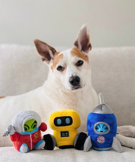 Pet-play-jouet-peluche-chien-Alien-Buddies