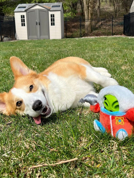 Pet-play-jouet-peluche-chien-Alien-Buddies-Astro-Explorer