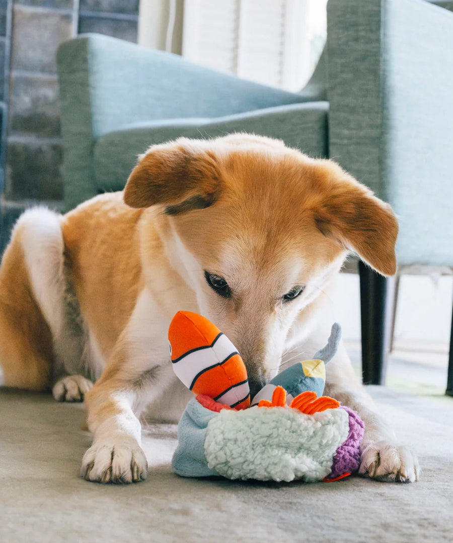 Pet-play-jouet-peluche-chien-Ocean-Buddies-corail
